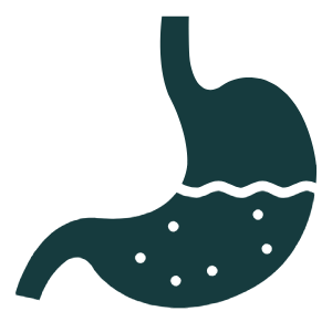 stomach icon